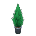 acnh-cypress-plant.png