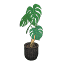 acnh-monstera.png