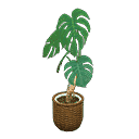 acnh-monstera.png