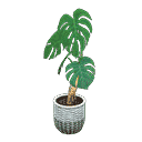 acnh-monstera.png