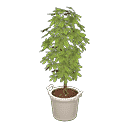 acnh-schefflera.png