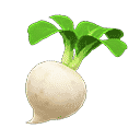 20 turnips