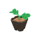 acnh-sugarcane-start.png