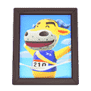 acnh-coachs-photo.png