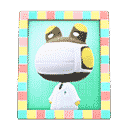 acnh-raddles-photo.png