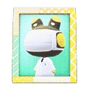 acnh-raddles-photo.png