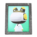 acnh-raddles-photo.png