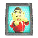 acnh-als-photo.png