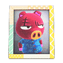 acnh-rashers-photo.png