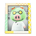 acnh-cobbs-photo.png