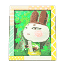 acnh-genjis-photo.png