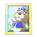 acnh-chips-photo.png