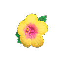 acnh-hibiscus-hairpin.png