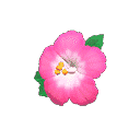 acnh-hibiscus-hairpin.png