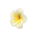 acnh-plumeria-hairpin.png