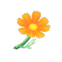 acnh-orange-cosmos.png