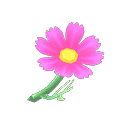 acnh-pink-cosmos.png