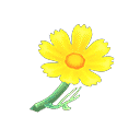 acnh-yellow-cosmos.png