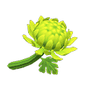 acnh-green-mums.png