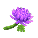 acnh-purple-mums.png