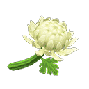 acnh-white-mums.png