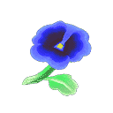 acnh-blue-pansies.png