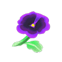 acnh-purple-pansies.png