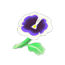 acnh-white-pansies.png