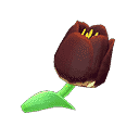 acnh-black-tulips.png