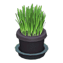 acnh-cat-grass.png