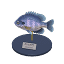acnh-bluegill-model.png