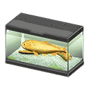 acnh-dorado.png