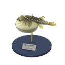 acnh-blowfish-model.png