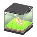 acnh-koi.png