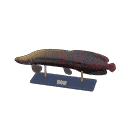 acnh-arapaima-model.png
