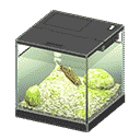acnh-dace.png