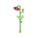 acnh-cosmos-shower.png