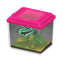 acnh-queen-alexandras-birdwing.png