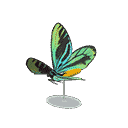 acnh-grand-q-a-birdwing-model.png