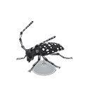 acnh-citrus-long-horned-b-model.png