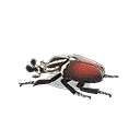 acnh-grand-goliath-beetle-model.png