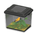 acnh-man-faced-stink-bug.png