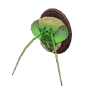 acnh-mantis-head-model.png