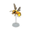 acnh-honeybee-model.png