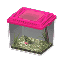 acnh-madagascan-sunset-moth.png