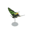 acnh-m-sunset-moth-model.png