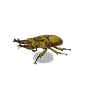 acnh-golden-stag-model.png