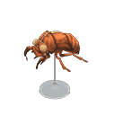 acnh-cicada-shell-model.png