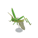 acnh-long-locust-model.png