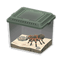 acnh-tarantula.png
